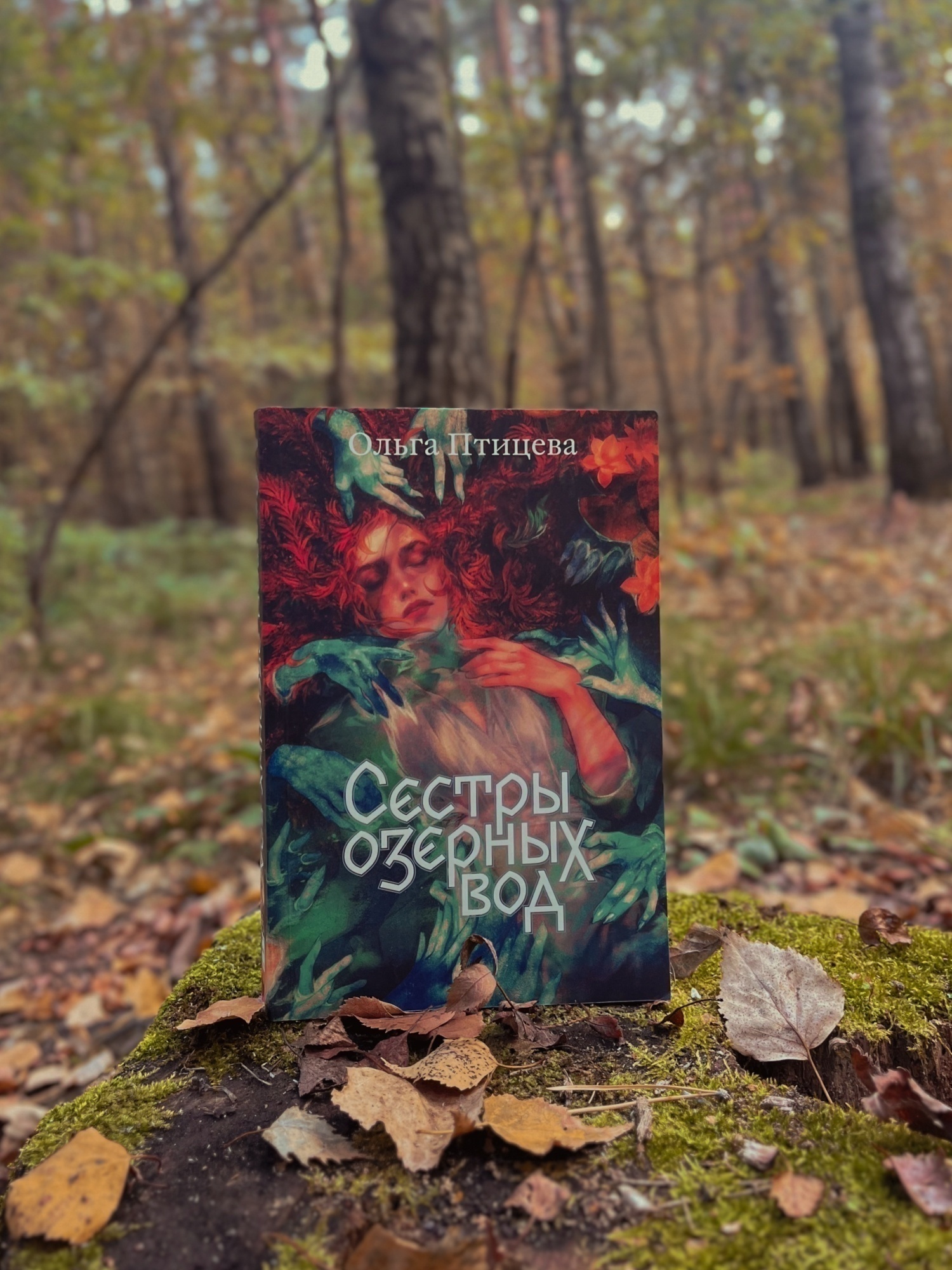 Книга  Лесной бокс от Popcorn Books «Жить в лесу, молиться колесу»