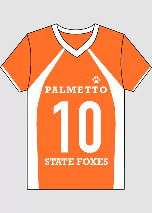 Книга Джерси «Palmetto State Foxes»